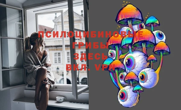 mix Козельск